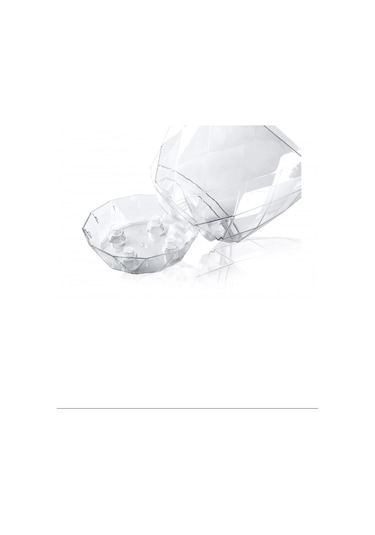 2 No Orkide Saksı Yakamoz Royaleks-krs-462