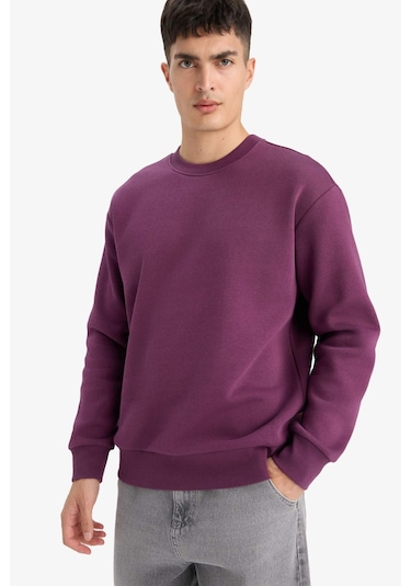 Defacto Relax Fit Bisiklet Yaka Kalın İçi Yumuşak Tüylü Basic Düz Sweatshirt T5139az25aupr79 Mor Defacto Relax Fit Bisiklet Yaka Kalın İçi Yumuşak Tüylü Basic Düz Sweatshirt T5139az25aupr79 Mor