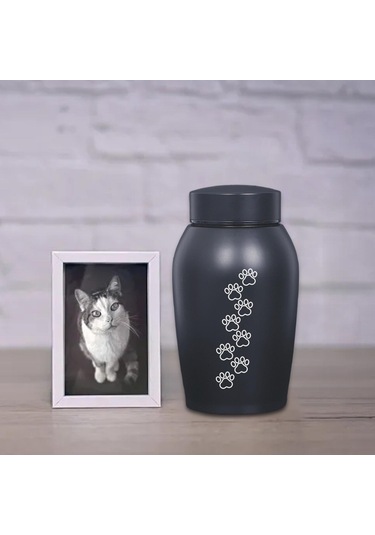 Homyl Paslanmaz Çelik Pet Urn Kremasyon 60 Lbs'ye Kadar Stil-c Altın