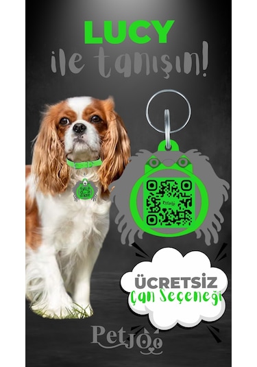 Petjoo 11.Lucy Gri-Yeşil Qr'lı Köpek Künyesi