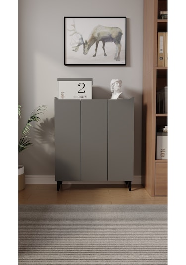 İliana 3 Kapaklı 4 Raflı Çok Amaçlı Dolap, Banyo Dolabı, Mutfak Dolabı Antrasit Antrasit