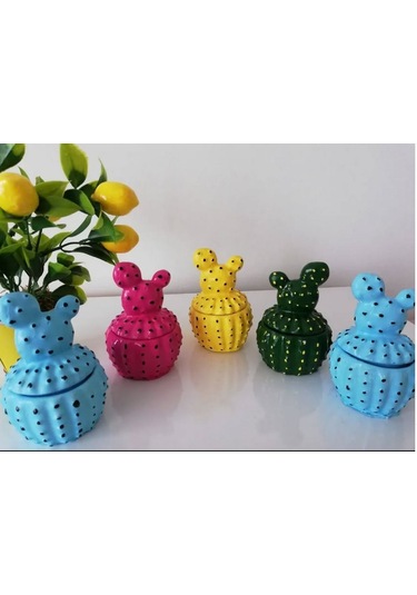 Dekoratif Kaktüs Lokumluk