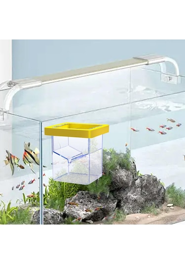 Suntek Yüzen Balık Yetiştirici Kutusu Palyaço Balığı