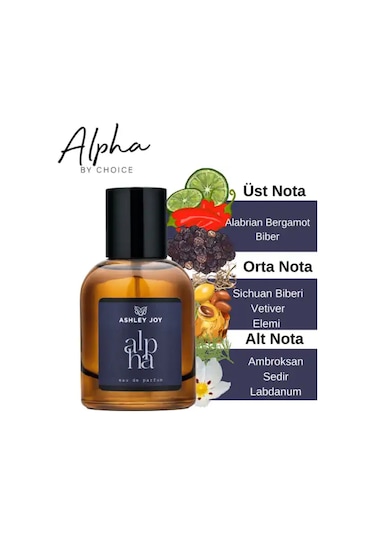 Ashley Joy Alpha Erkek Parfüm Edp 100 ML