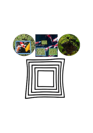 Homyl 5 Adet Akvaryum Yüzen Bitki Yüzükler Balık Tankı Siyah