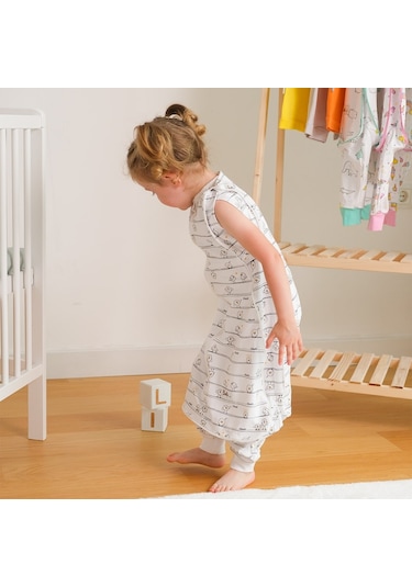 Owlishop Owli Uyku Gurusu 0.5 Tog Early Birds 0 - 36 Ay Ekru Çok Renkli