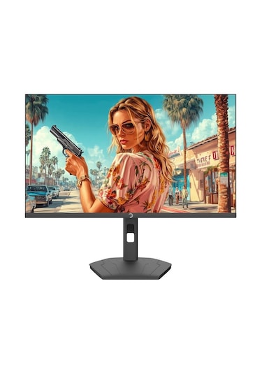 24" Gamepower Lunıs L10 Flat 1ms 165hz Monıtor