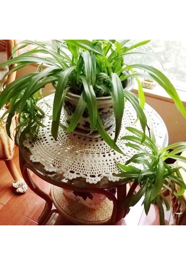 Beyaz Yastık El Yapımı Yıkanabilir Ev Pamuk Hattı İçecekler Ziyafet İçin Yastık Bardak 30cm Beyaz