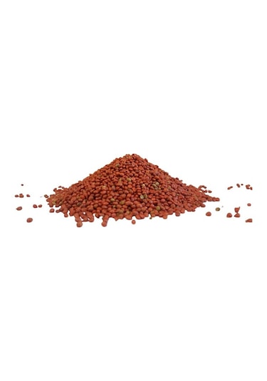 Ispanak Tohumu İthal Matador Çeşidi 250 GR