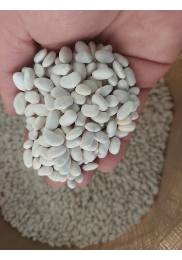 Köy Mahsulu Yerli Kuru Fasülye 1 Kg