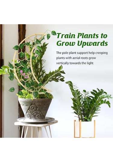 Neevoyu 3 Adet Ahşap Bitki Tırmanma Ayiği - Ev Bahçe Balkon Süs Bitkileri İçin Dayanıklı Destek Gereci
