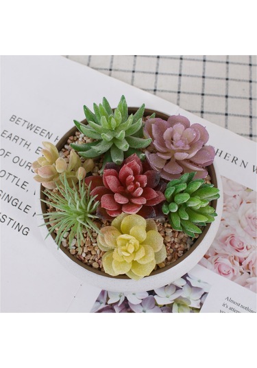 Xiyyadms Dıy Yapılandırılabilir Simülasyon Sukulent Bitki Seti - Bakım Gerektirmeyen Ev Dekorasyonu Duvar Yeşilliği