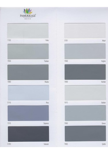 Fbs Exterio Silikonlu Dış Cephe Boyası 3.5 Kg Akasya Diğer