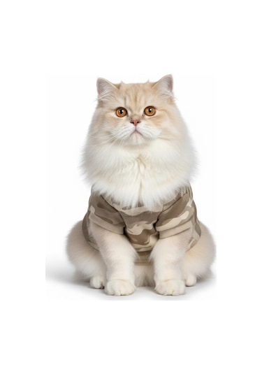 Safari Friends Kapüşonlu Kedi Sweatshirt Küçük Irklar