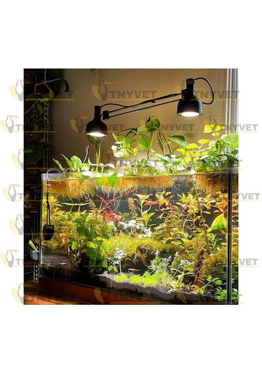 Tnyvet 100 Watt / Gün Işığı Güneş Lambası Isıtıcı Lamb