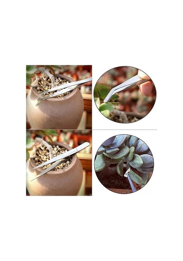 Pazly 16 Parça Bahçe Dikim Seti Bonsai Sukulent Nakil Mini Peri Bahçe El Aletleri Ev Ofis İçin