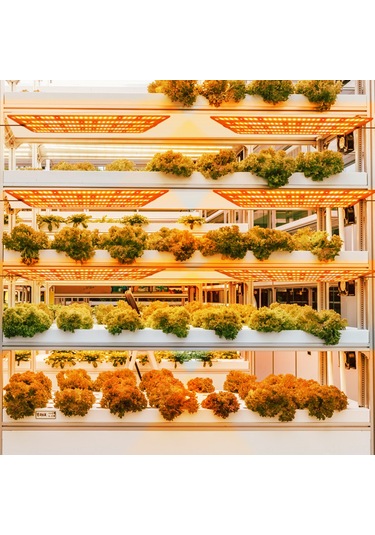 Geeroyoo "bitki Büyüme Led Panosu: 24 Saat Zamanlayıcı, 6 Parlaklık Seviyesi, İç Mekan Bitkileri İçin Tam Spektrum Işık" Diğer