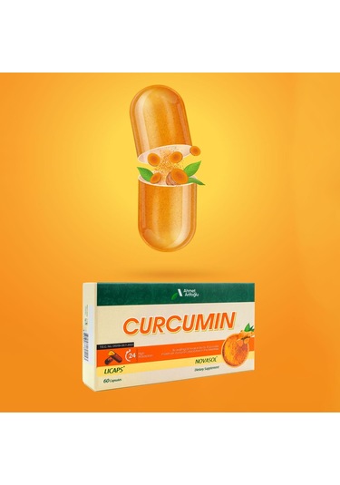 Ahmet Arifoğlu Curcumin 60 Tablet