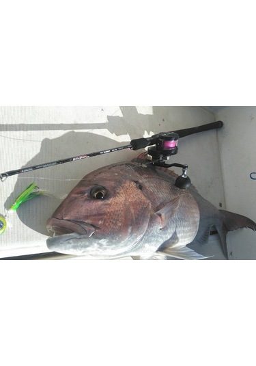 Tailwalk Salty Shape Tai Rubber Kamış  68M/FSL Spin 203cm. Vertic