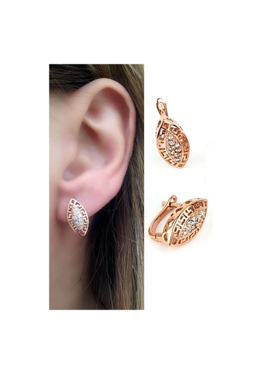 Zirkon Taşlı 925 Ayar Gümüş Rose Küpe N11.99044