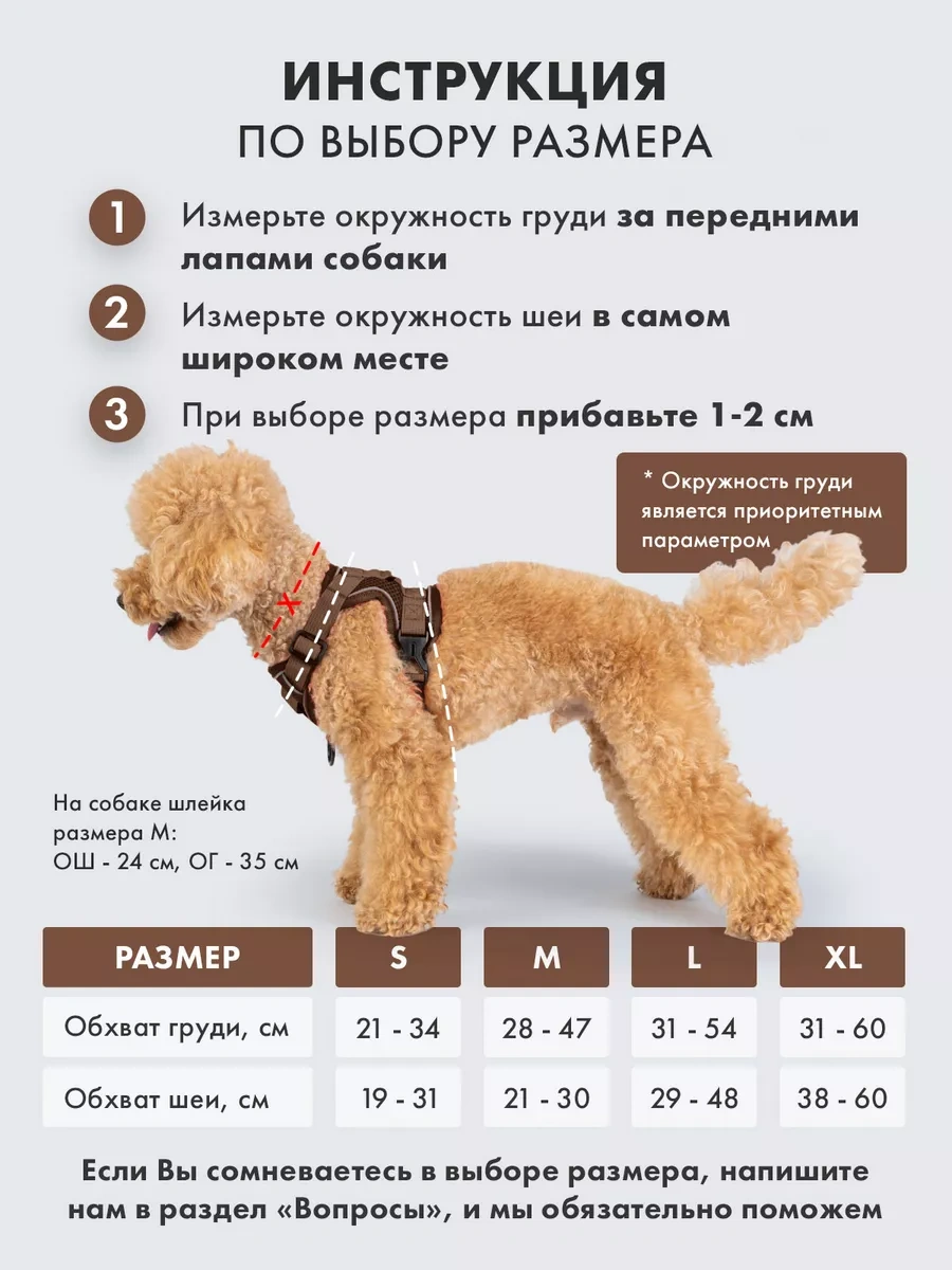 Purrfect Place Köpekler Ve Kedi İçin Tasma Şeritli Tasma 253725673