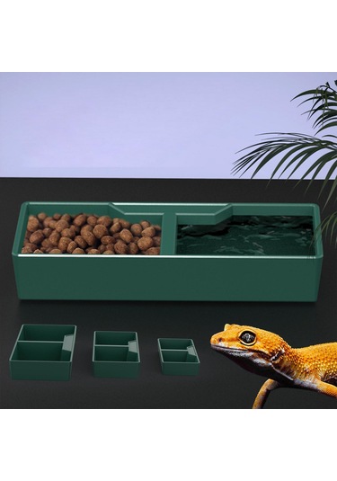 Homyl Besleme Kabı Su Tabağı Amfibi Aksesuarları Çok