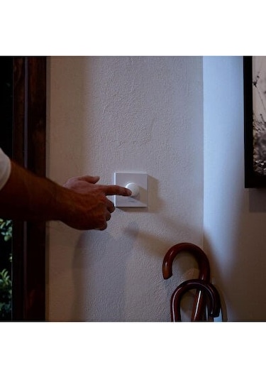 Philips Hue Akıllı Buton