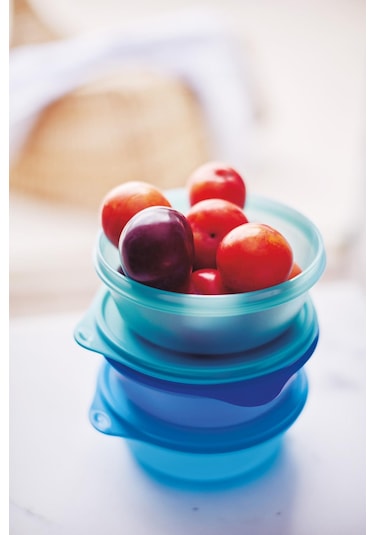 Tupperware Saklama ve Servis Küçük Kap 3'lü Set 600 ml