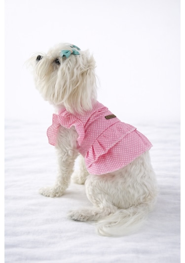 Puantiyeli Kedi Köpek Poplin Elbise