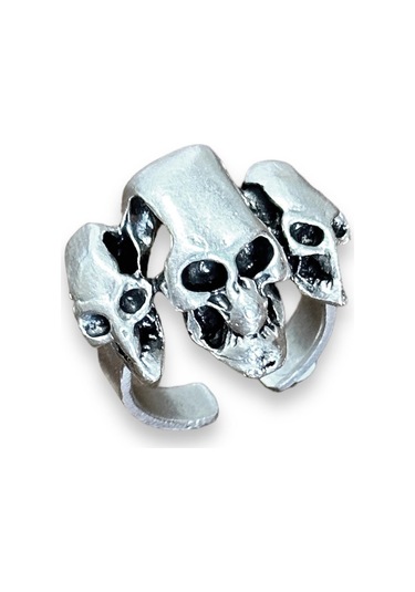 Takı Dükkanı Üç Boyutlu Kuru Karaflı Boyu Ayarlanabilir Erkek Yüzük Bby27 Gümüş