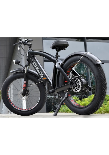 Citycoco Fatbike 250W