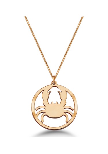 Çember Yengeç Burcu Gümüş Kolye - Rose Rose