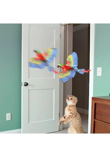 Uçan Papağan Kedi Oyuncağı