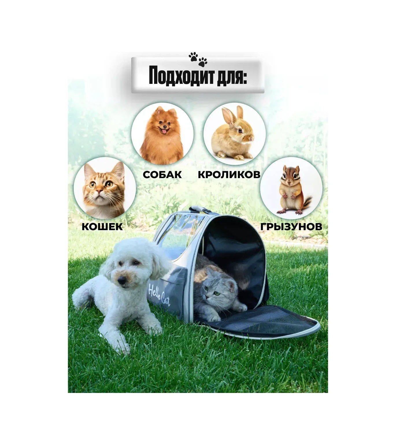 Kotosumka Kedi Ve Köpekler İçin Taşıma Sırt Çantası 246184776