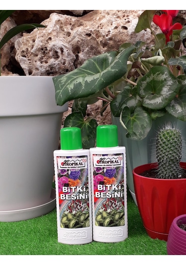 Genel Bitki Besini Iç Mekan Bitki Vitamini Gübre Yeşil Yaprak