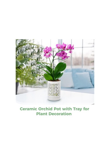 Delikli Orkide Saksısı Seramik Saksılar Açık Hava İç Mekan Çiçek Saksıları