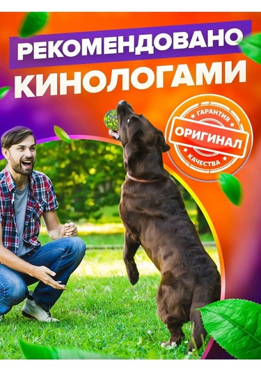 Petfort Köpekler İçin Çiğneme Oyuncağı, Süper Dayanıklı Top 159440585
