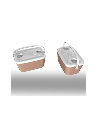 Buzluk Termos Set-30 Lt Buzzy Buzluk Termos 1178 Cooler Box + 2 Adet K-250 Buz Aküsü Pembe