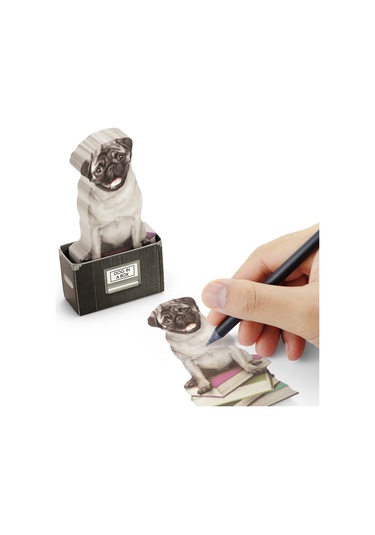 Mustard Dog İn A Box Yapışkanlık Not Kağıdı