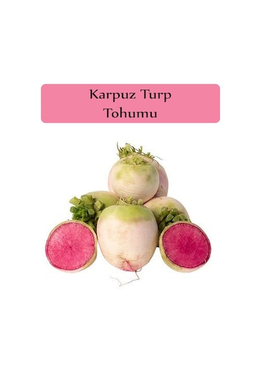 Turp Tohumu 1 Paket 5GR=500+ Adet Karpuz Turp Tohumu