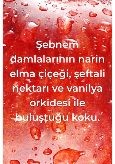 Method Ankastre Temizleyici ve Parlatıcı Elma Bahçesi Kokulu 414 ML