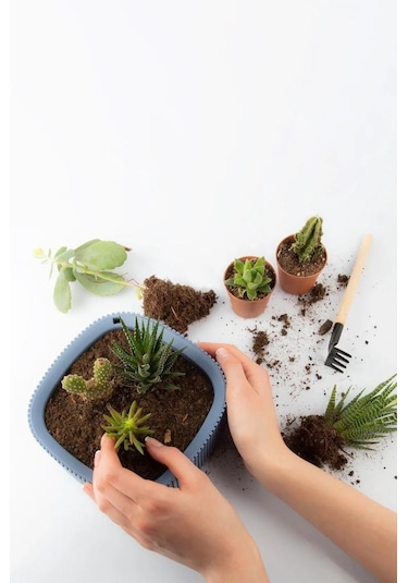 Omnipazar Krs-247 Pera Dekoratif Aranjman Kaktus Sukulent Saksı 1 Litre No 1