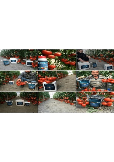 500 ML Turkuvaz Bat Power Organik Sıvı Yarasa Gübresi