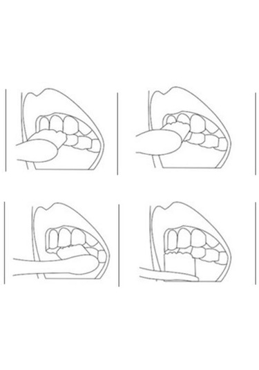 Homyl Kutu Ile 10x Taşınabilir Buğday Samanı Saplı Mavi