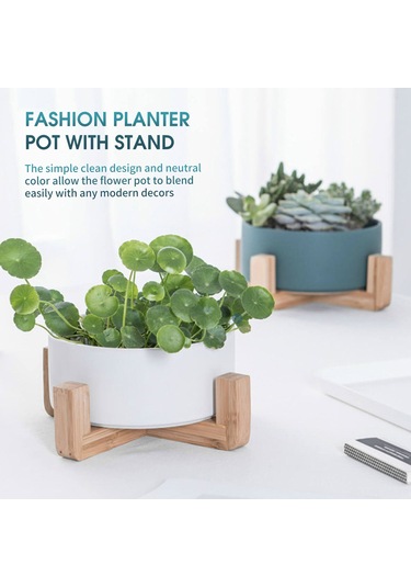 Suofeng Yeşil Ahşap Ayaklı Orta Boy Sukulent Ve Hidroponik Bitki Seramik Saksı