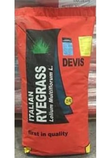 Firba İtalyan Çimi, Süt Otu, RyeGRass, Rey GRass, Obelix 1 KG