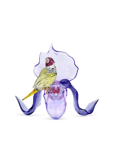 5675211 Swarovski Biblo Idyllıa:gouldıan Fınch And Orchıd