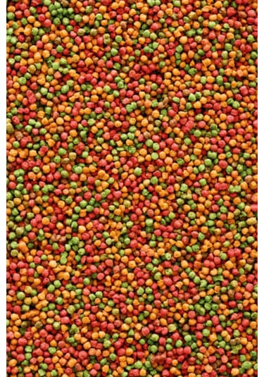 Versele Laga Nutribird B14 Pelet Yem 500 G