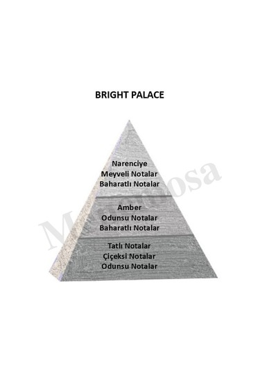 Baharat Dekoratif Oda Parfümü 120ml Brıgt Place - Baharat Baharat