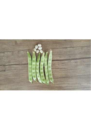 Özayşe Sırık Fasulye Tohumu 10 Kg